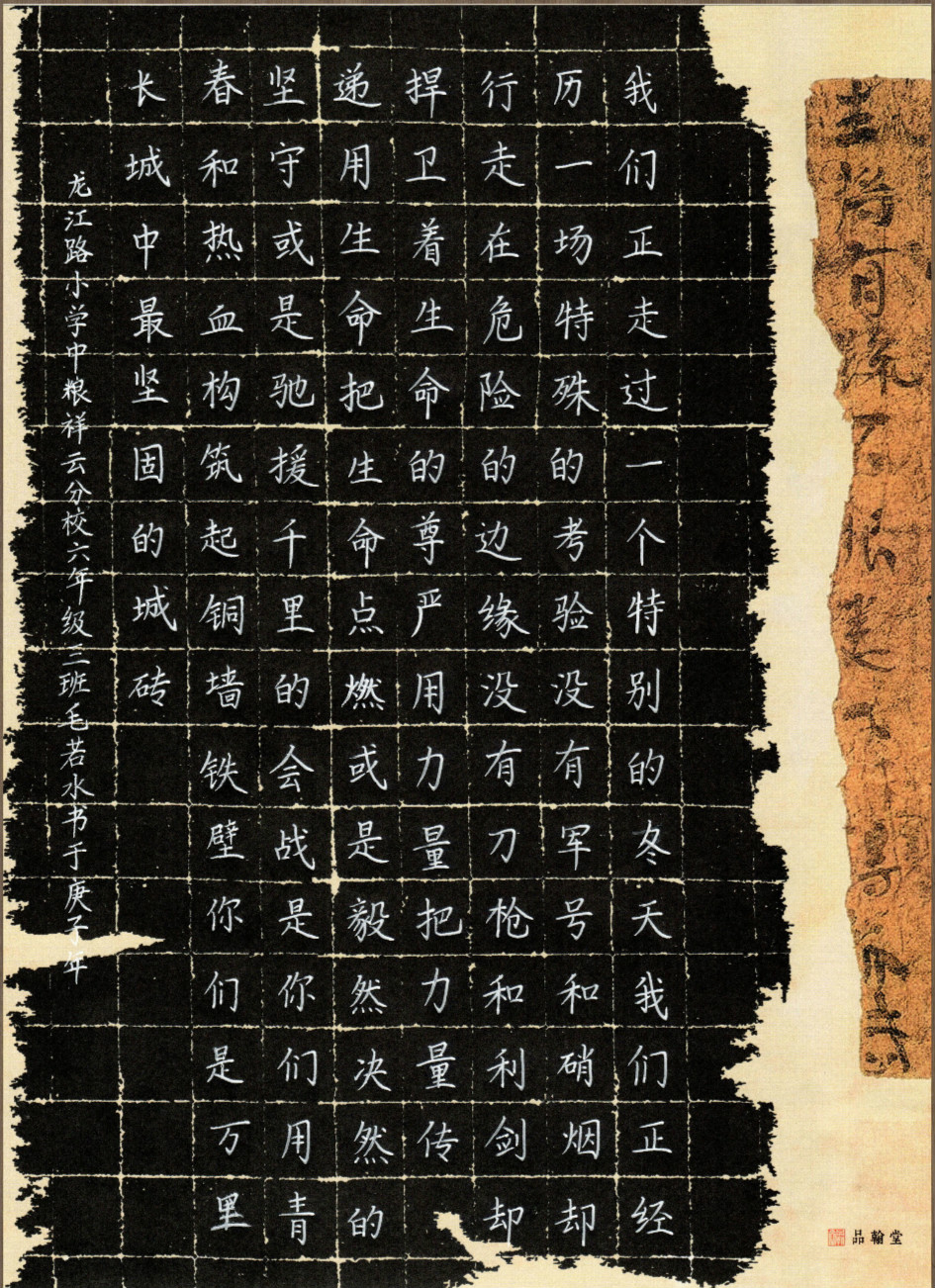 3.捍卫着生命的尊严 龙江路小学中粮祥云分校 毛若水 六年级三班_meitu_3.jpg