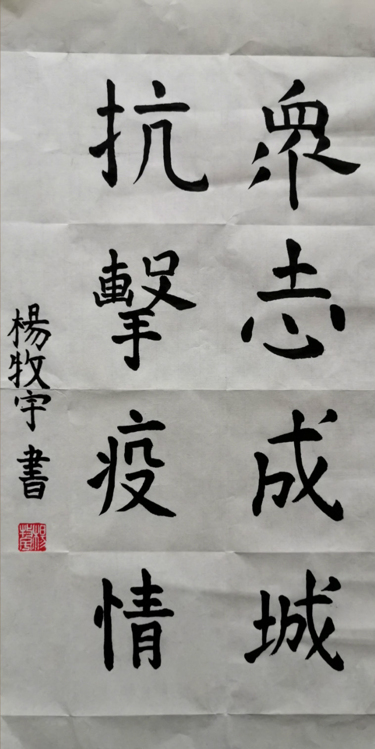 26.成都市龙江路小学 五年级四班 杨牧宇 众志成城 抗击疫情_meitu_4.jpg