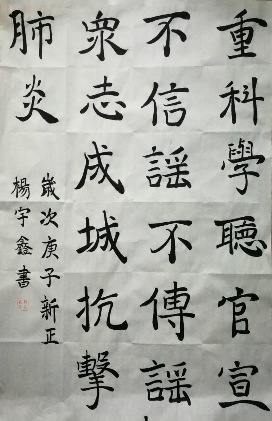 38.成都市龙江路小学 六年级五班 杨宇鑫 众志成城 抗击肺炎_meitu_16.jpg
