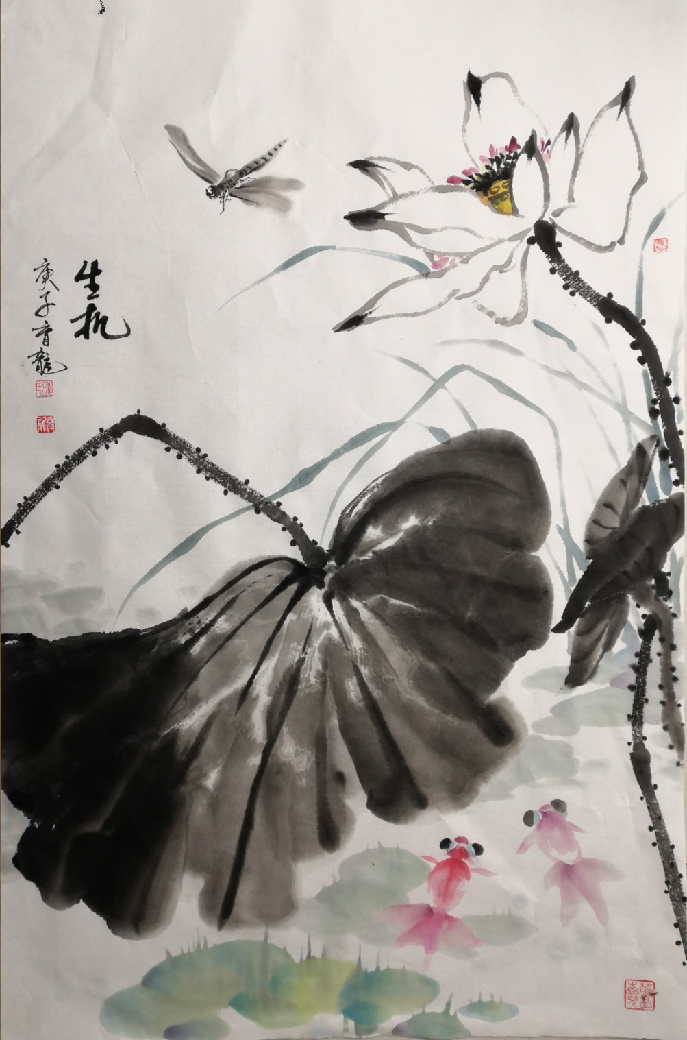 37.生机 成都市红牌楼小学 邹育龙_meitu_36.jpg