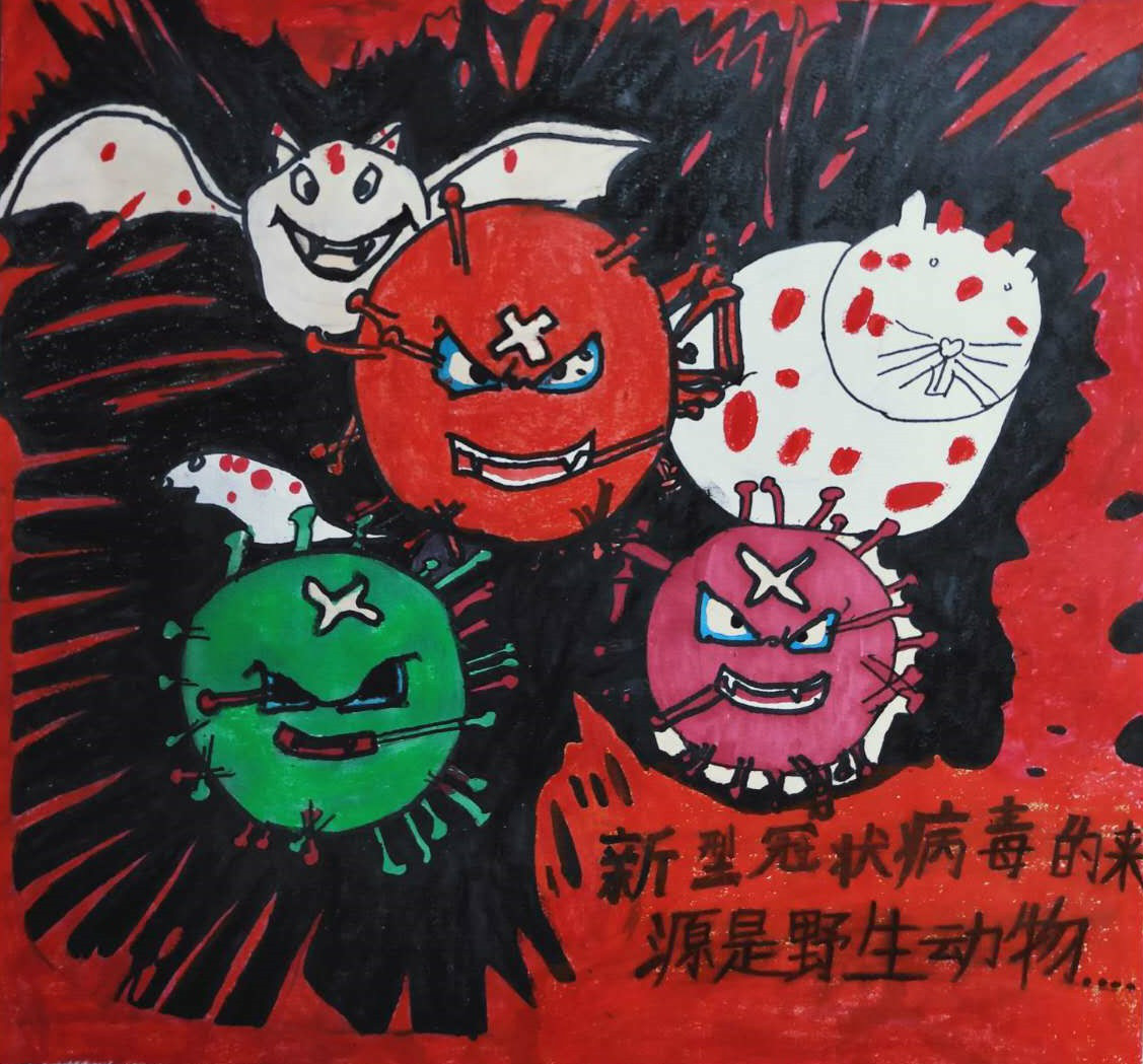 15.新型冠状病毒的来源-刘兴胜-成都达利美术学校_meitu_15.jpg